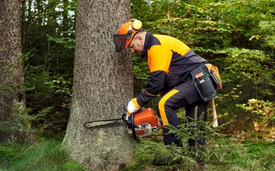 Digital Marketing for New England Tree Service Companies: Boost Your Online Presence