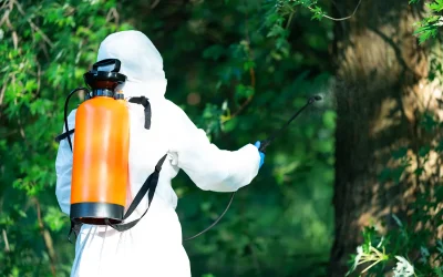Effective Marketing Strategies for Pest Control Companies: Tips and Tricks