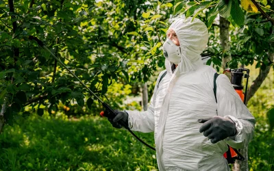 Increase Local Pest Control Company Visibility: Effective Online Marketing Strategies