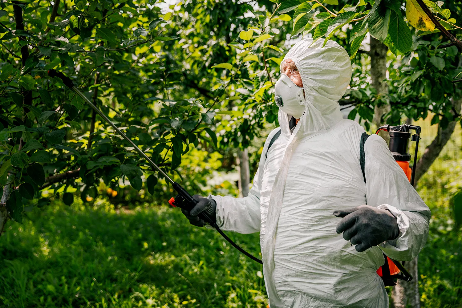 Keene Marketing Agency Person in protective suit and mask spraying trees with pesticide in an orchard.