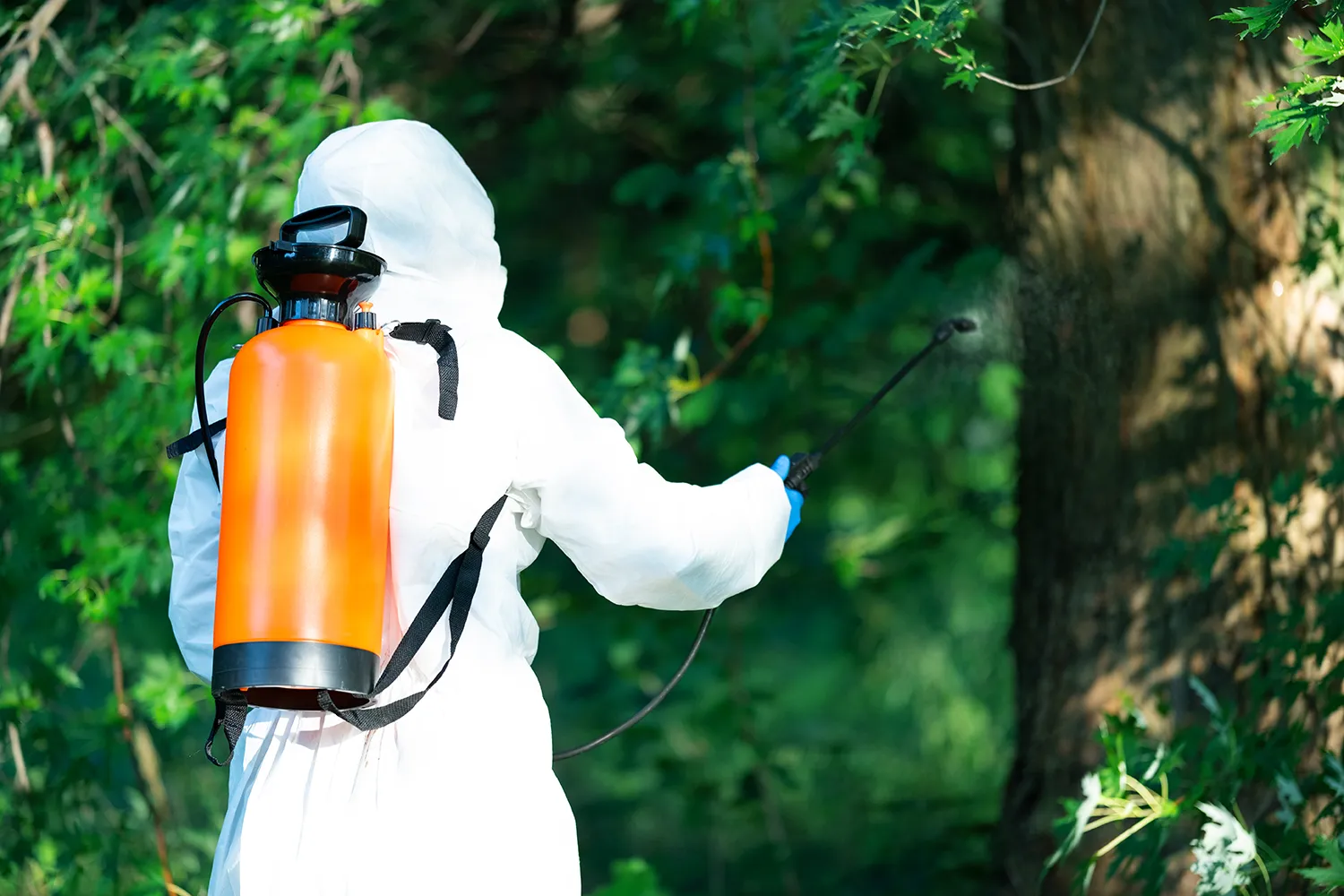 Keene Marketing Agency A person in a protective suit and mask applies pesticide with a backpack sprayer in a lush green forest.