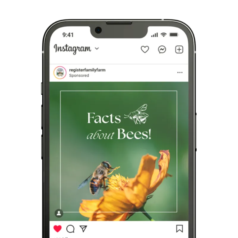 Keene Marketing Agency An Instagram post by registerfamilyfarm shows a bee on a yellow flower with the text "Facts about Bees!.