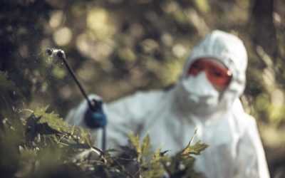 Promoting Your Pest Control Business: Top Tips for Success