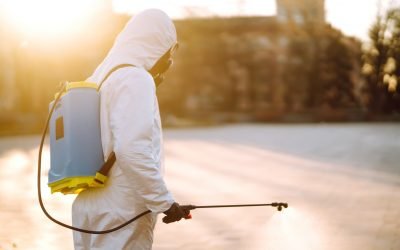 Pest Control Marketing Ideas: Effective Strategies for Growing Your Business