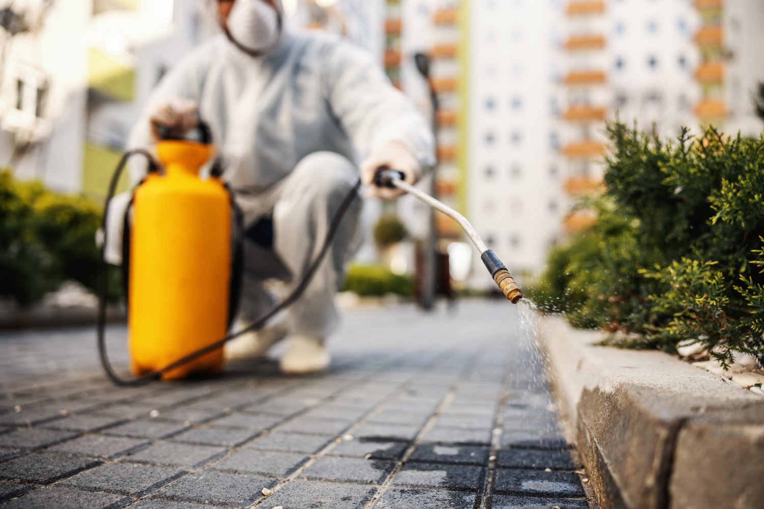 Keene Marketing Agency Individual in protective gear spraying a substance from a yellow container onto pavement near a row of bushes in an urban area.