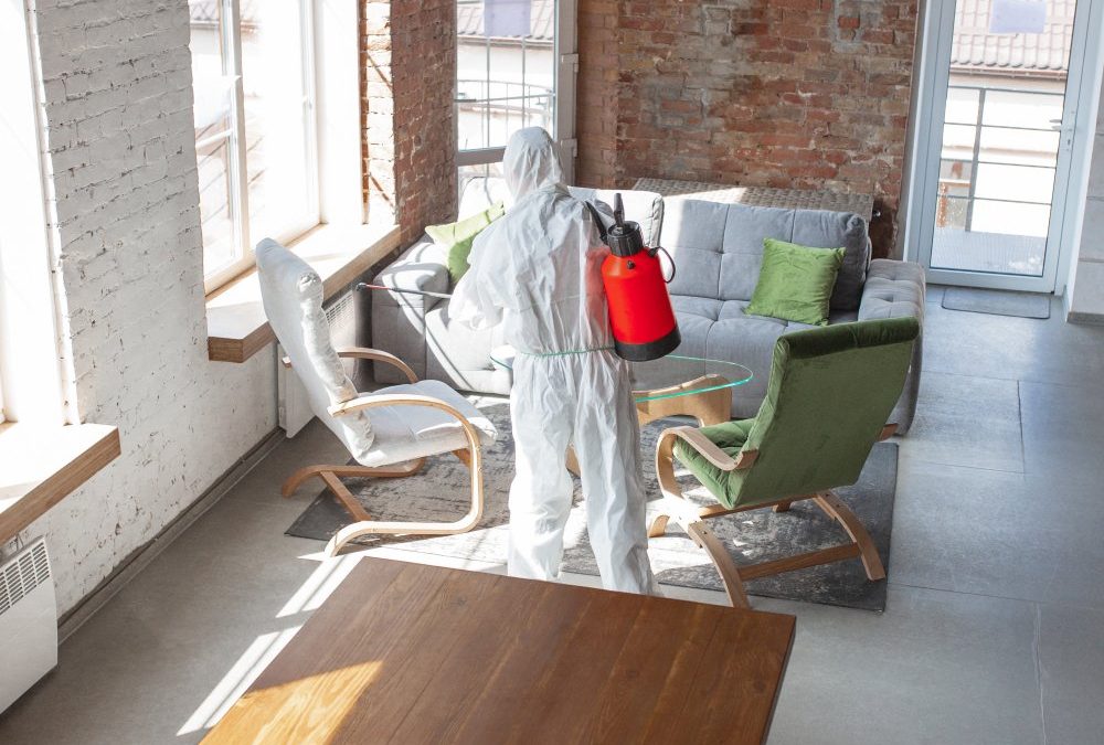Target Audience for Pest Control Services: Effective Solutions for Homeowners and Businesses