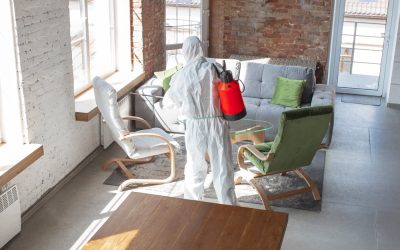Target Audience for Pest Control Services: Effective Solutions for Homeowners and Businesses