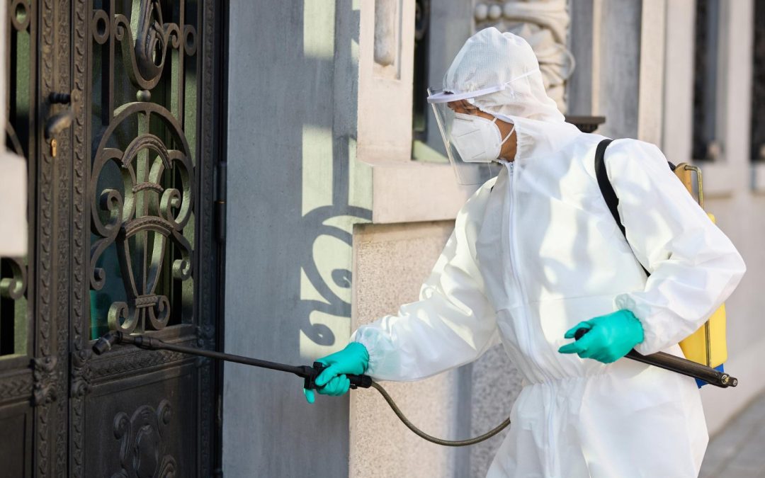 Digital Marketing Strategies for Pest Control: Tips for Success in 2024