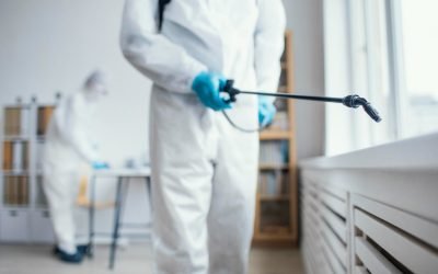 Top 5 Digital Advertising Platforms for Pest Control Businesses in 2026