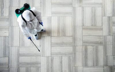 Drive More Pest Control Bookings with Content Marketing