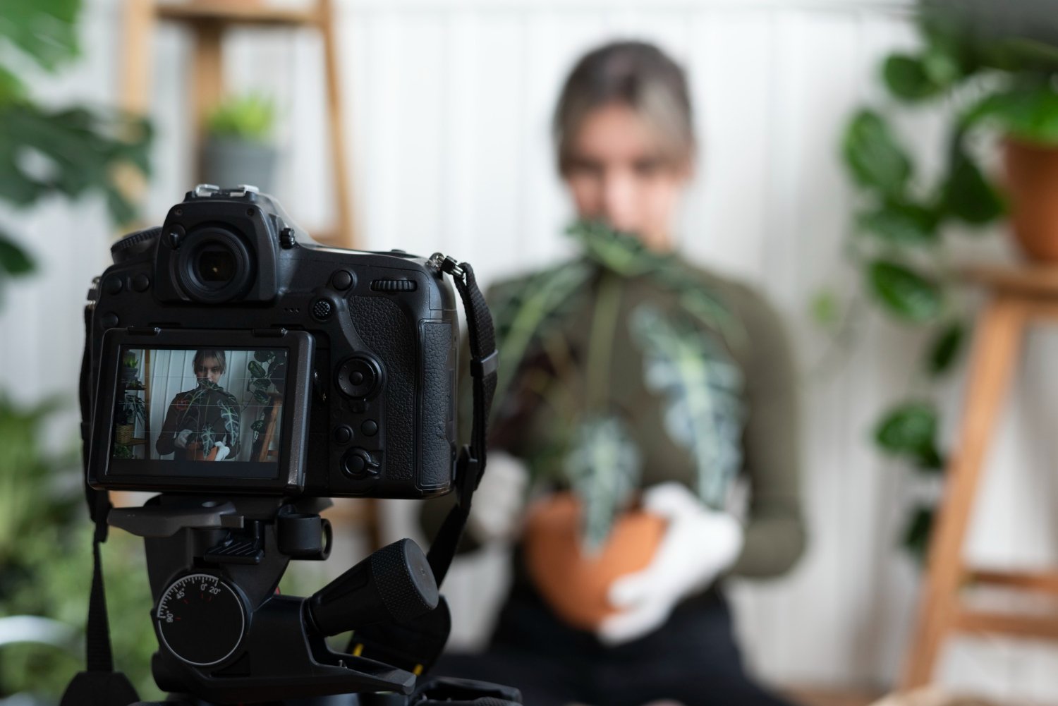 New Hampshire Person holding a potted plant and being filmed by a camera on a tripod, showcasing the power of videography with various other plants in the background. Marketing Agency