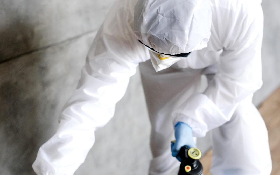 Boost Your Pest Control Bookings: A Comprehensive Guide to Effective Content Marketing