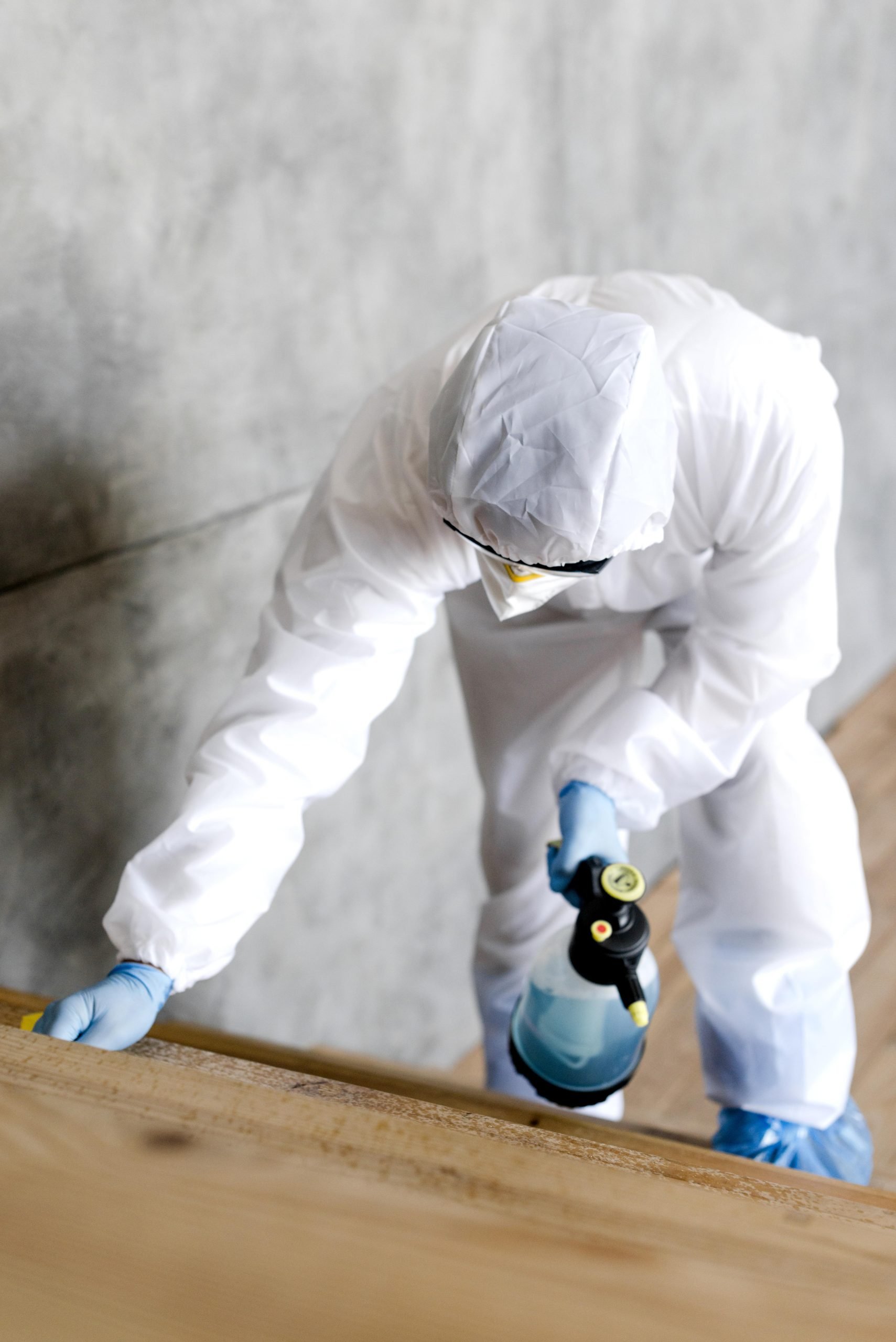 New Hampshire A person in full protective gear is disinfecting a wooden surface with a spray bottle, ensuring the space is clean and pest control measures are effectively implemented. Marketing Agency