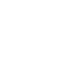New Hampshire Logo of Plank Termite & Pest Control LLC in bold white text. Marketing Agency