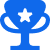 New Hampshire Blue trophy icon with a white star in the center, on a plain background. Marketing Agency