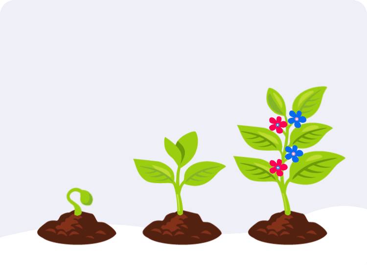 New Hampshire A plant growing from soil to dirt. Marketing Agency