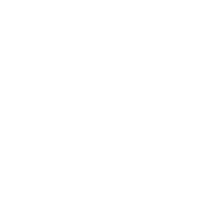 New Hampshire White "DTF" logo with stylized wing on black background, and "dtfnewengland.com" written below in lowercase letters. Marketing Agency