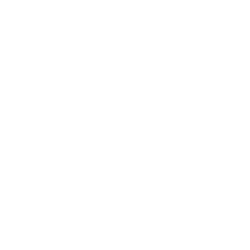 New Hampshire White text on a black background reads "Mosquito Squad" in bold, uppercase letters. Marketing Agency