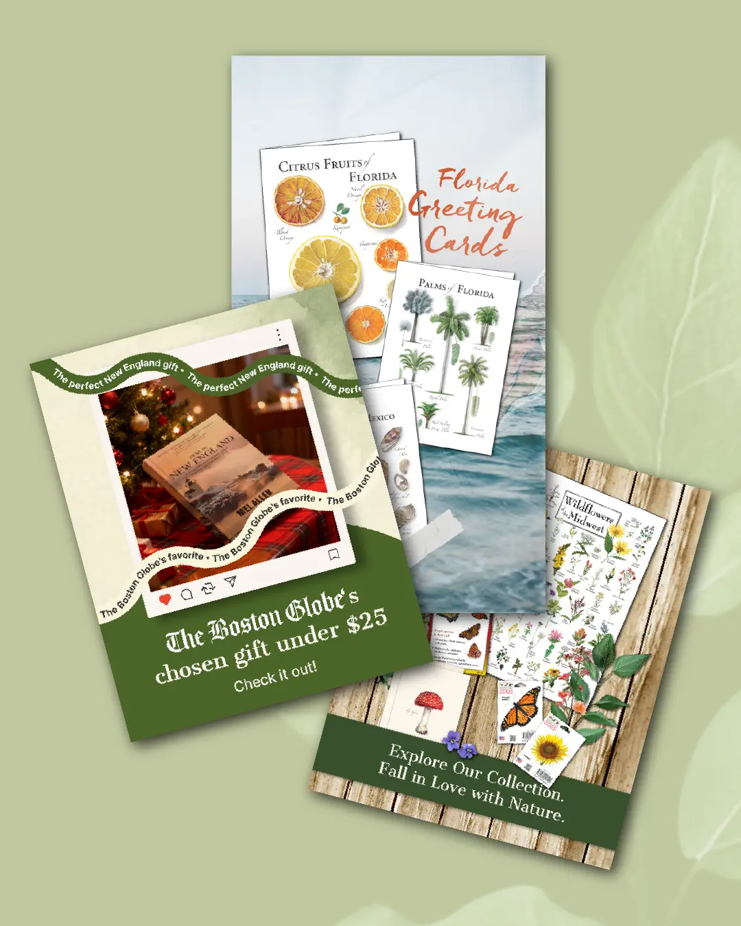 New Hampshire Three promotional cards featuring Florida-themed greeting cards with citrus, palm trees, and wildflowers designs, displayed on a green background with subtle leaf patterns. Marketing Agency