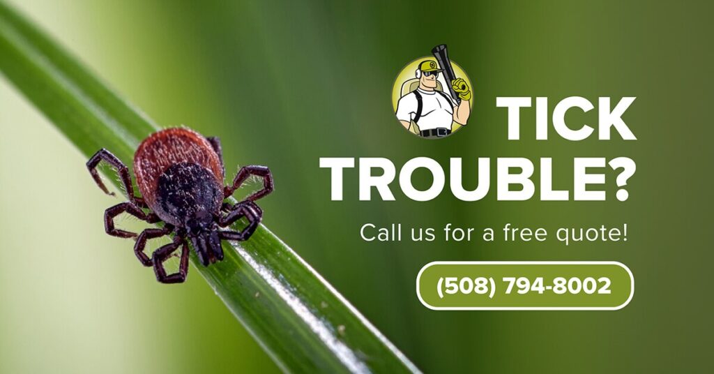 New Hampshire Close-up of a tick on a green blade of grass with an exterminator logo, text "Tick Trouble? Call us for a free quote!" and phone number (508) 794-8002. Marketing Agency