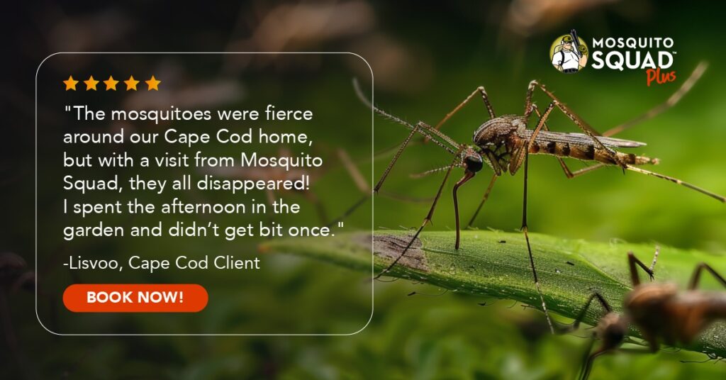 New Hampshire Close-up of a mosquito on a green leaf, next to a customer testimonial praising Mosquito Squad for eliminating mosquitoes, with a "Book Now!" button. Marketing Agency