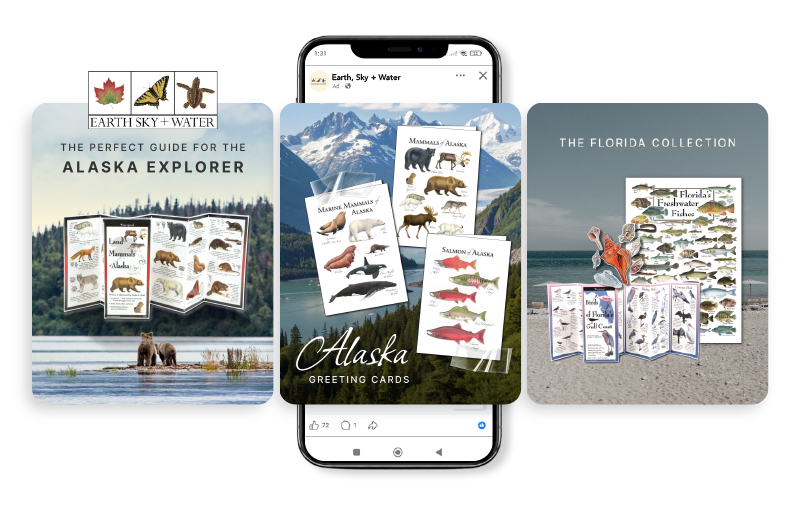 New Hampshire Three travel-themed card collections are shown: Alaska wildlife, Alaska greeting cards, and Florida birds and fish, each with illustrated guides and scenic backgrounds. Marketing Agency