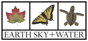 New Hampshire A red maple leaf, a yellow butterfly, and a sea turtle are shown above the words “EARTH SKY + WATER” in three separate boxes. Marketing Agency